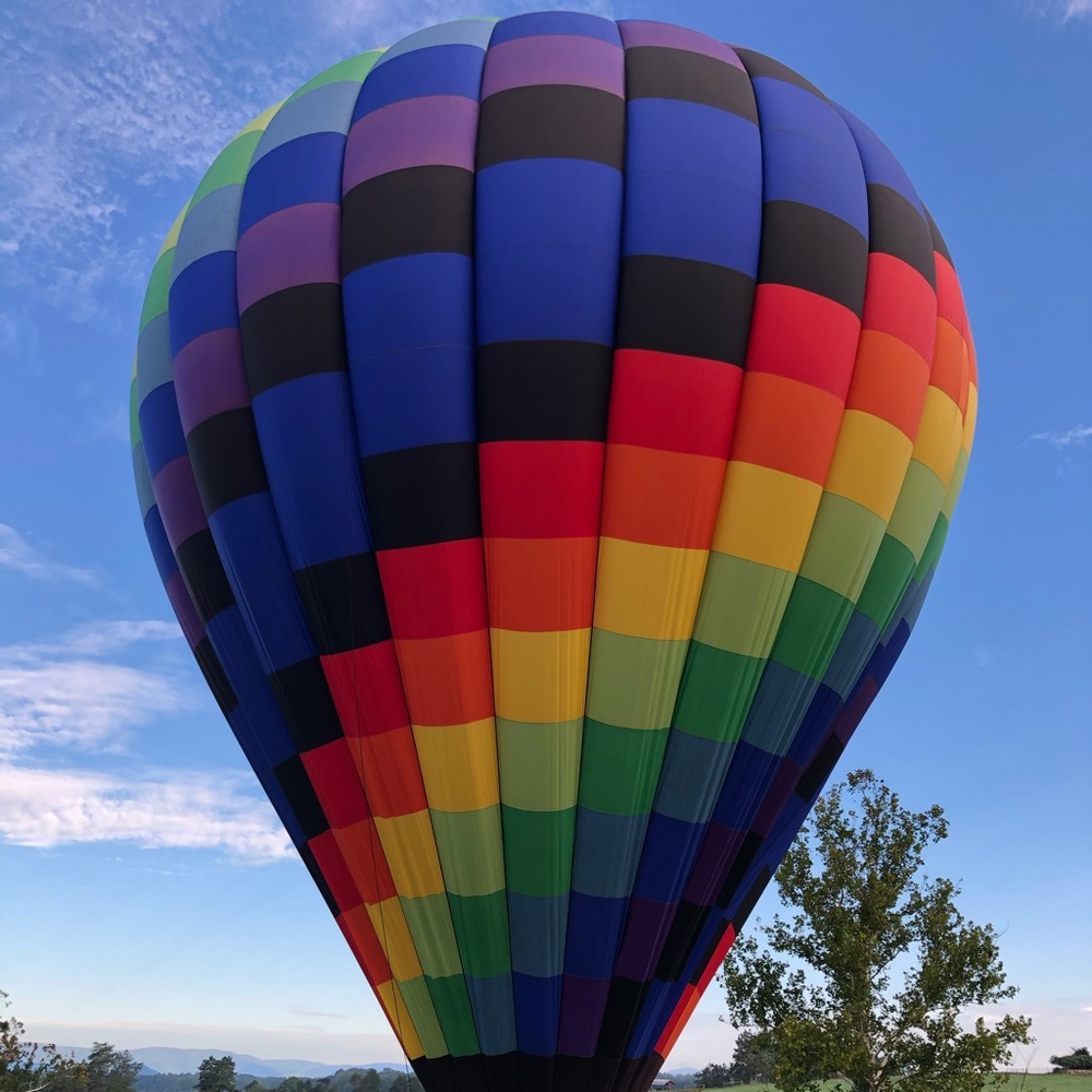 Meet your Posher, Susan